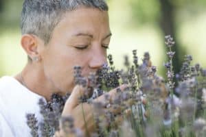 Wellbeing in Nature. Woman Enjoying the Scent of Lavender Flowers